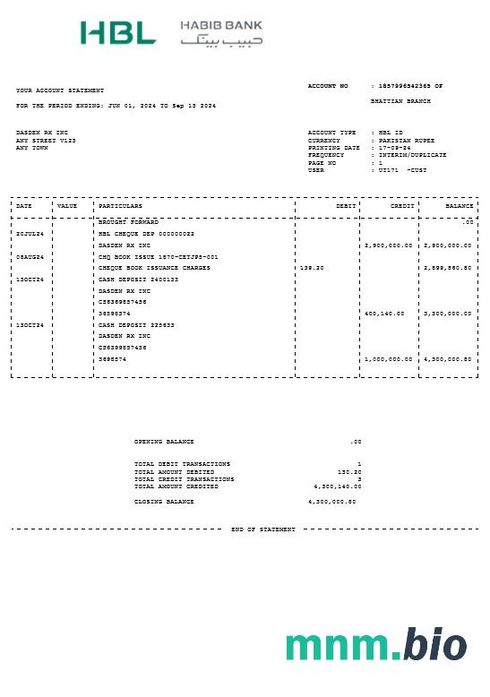 PAKISTAN HBL rachunek za usługi komunalne Word i szablon PDF